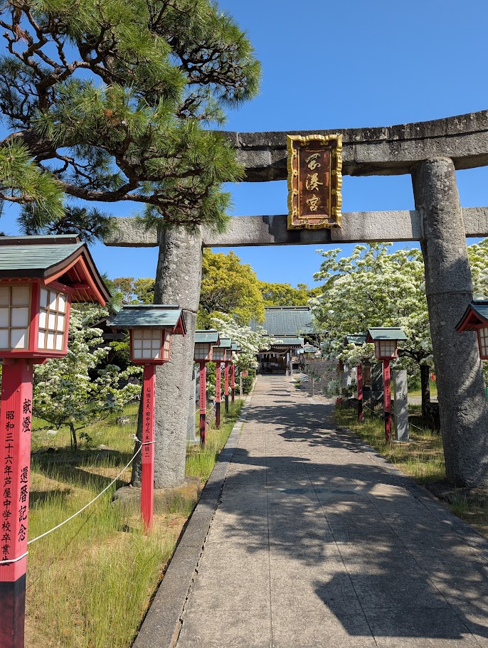 岡湊神社のなんじゃもんじゃの木